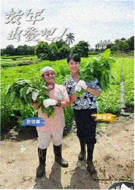 欧式室内场景观察要点的图鉴配图